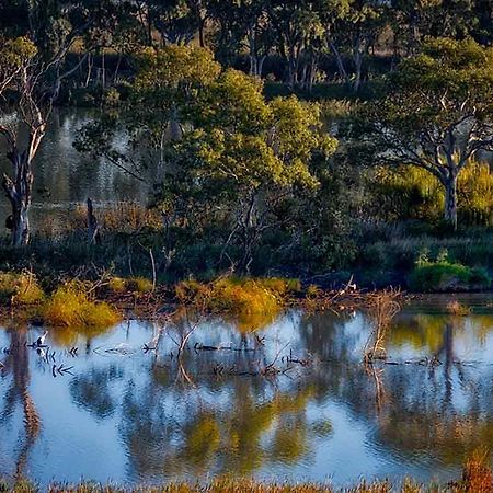 Riverview Rise Retreats Mannum Exteriör bild