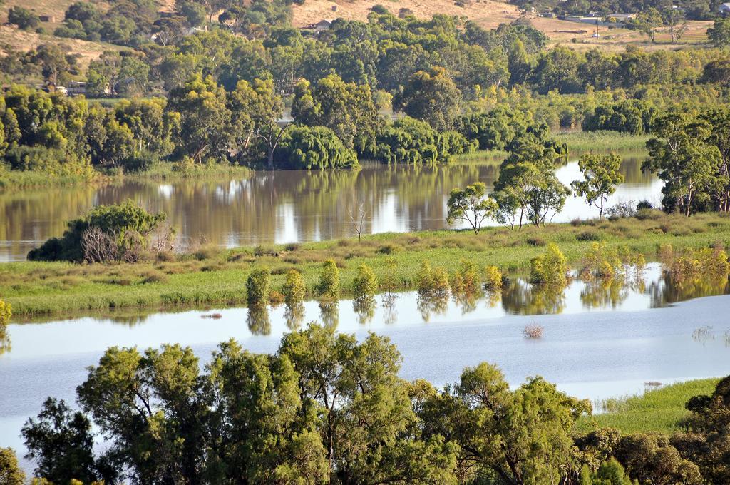 Riverview Rise Retreats Mannum Exteriör bild