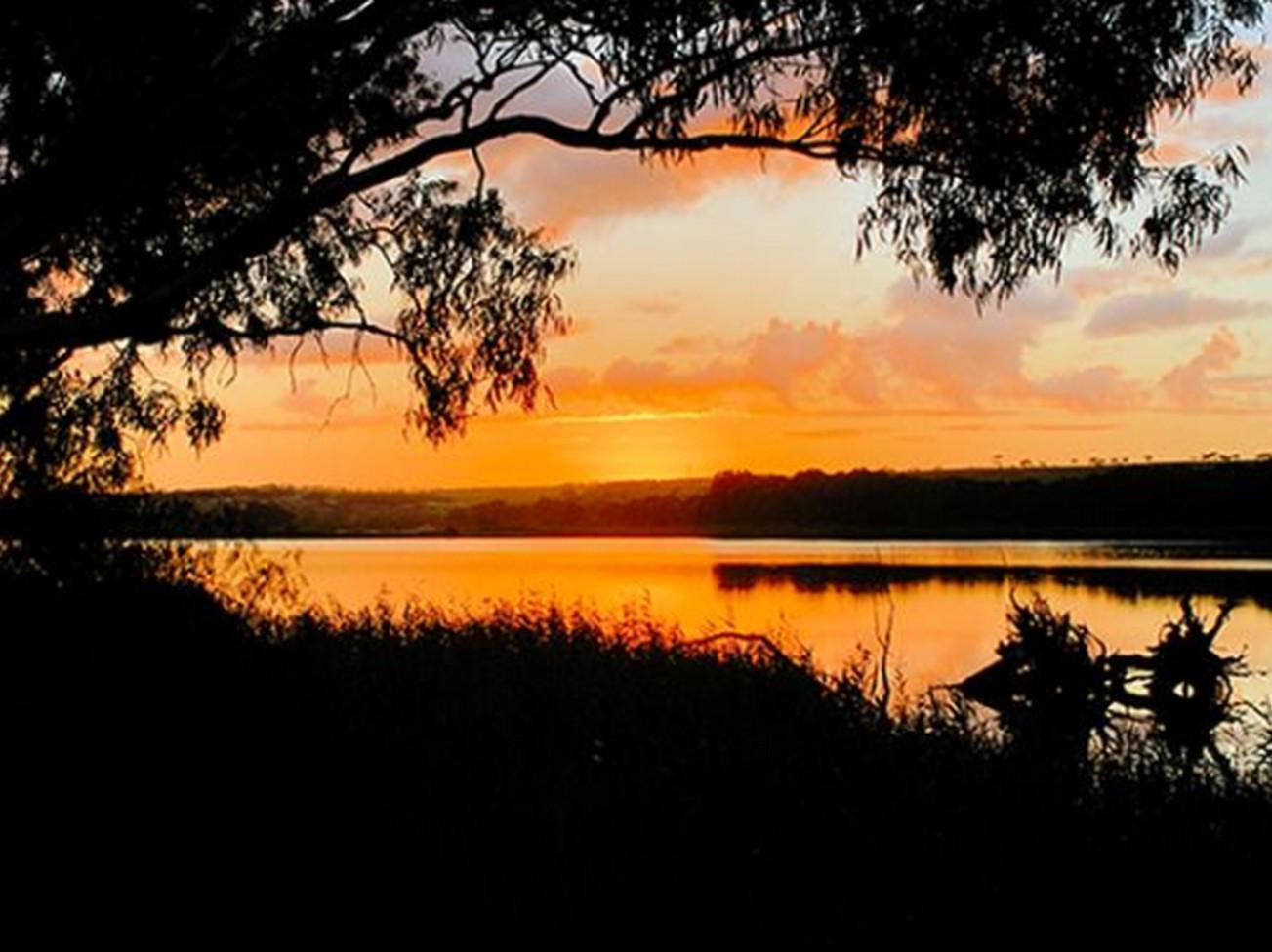 Riverview Rise Retreats Mannum Exteriör bild