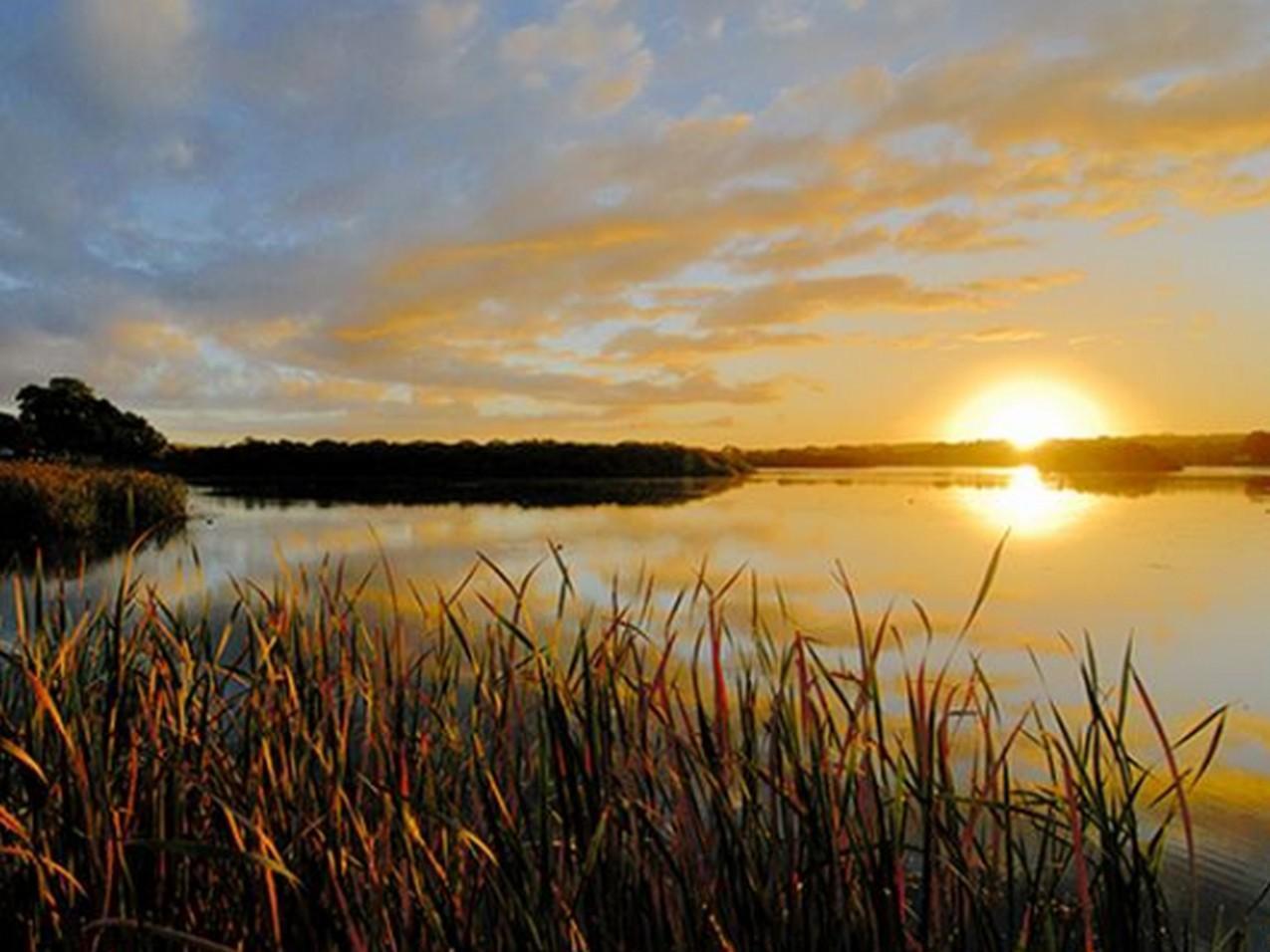 Riverview Rise Retreats Mannum Exteriör bild