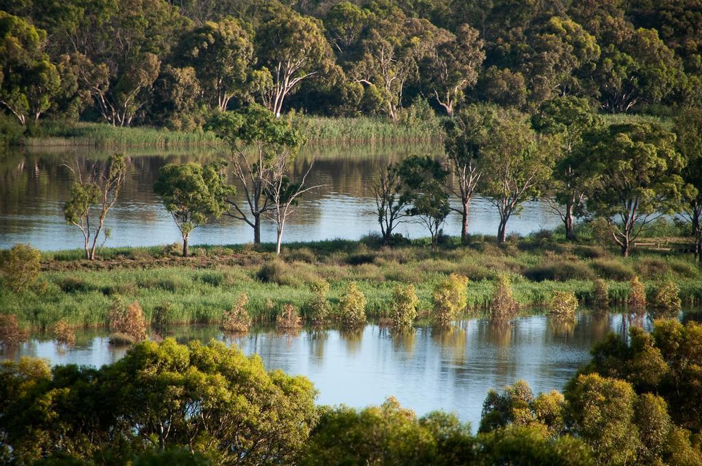 Riverview Rise Retreats Mannum Exteriör bild