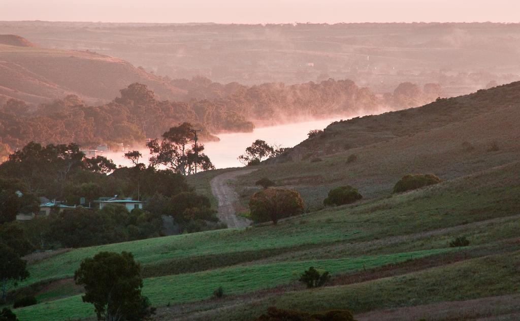Riverview Rise Retreats Mannum Exteriör bild