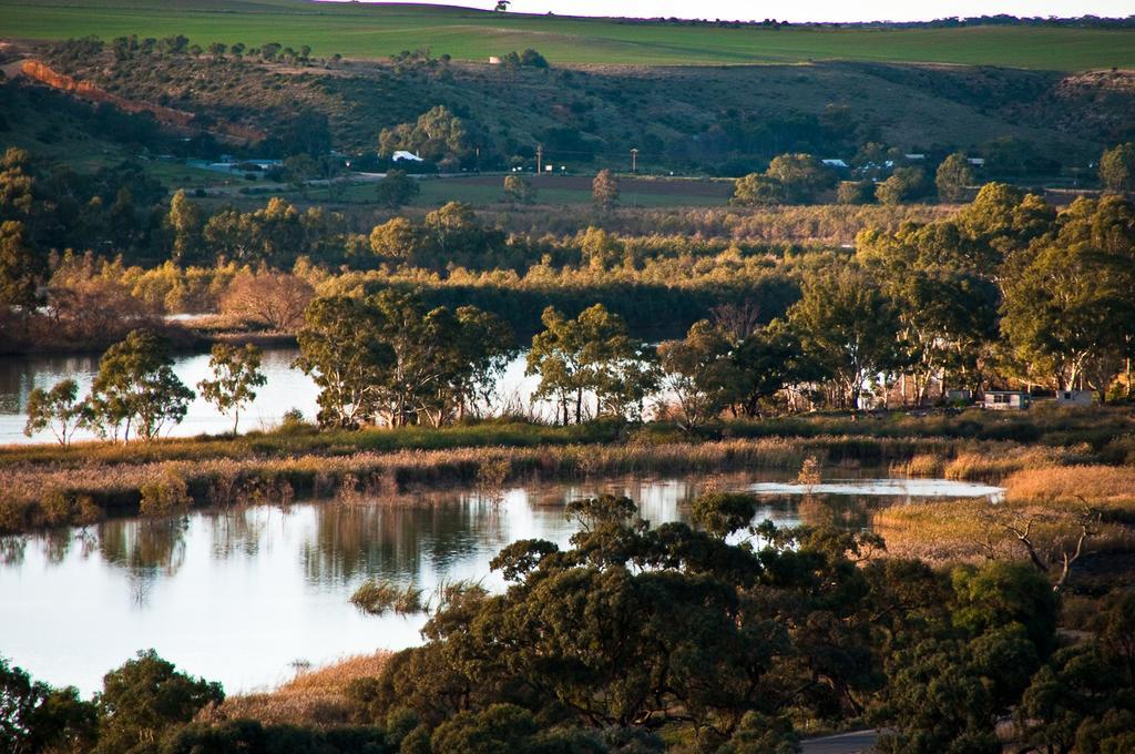 Riverview Rise Retreats Mannum Exteriör bild