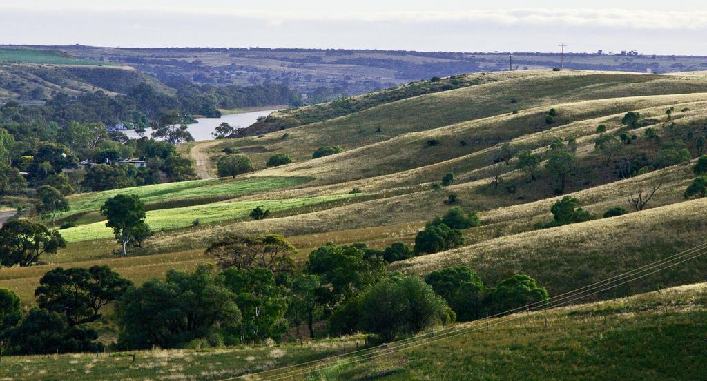 Riverview Rise Retreats Mannum Exteriör bild