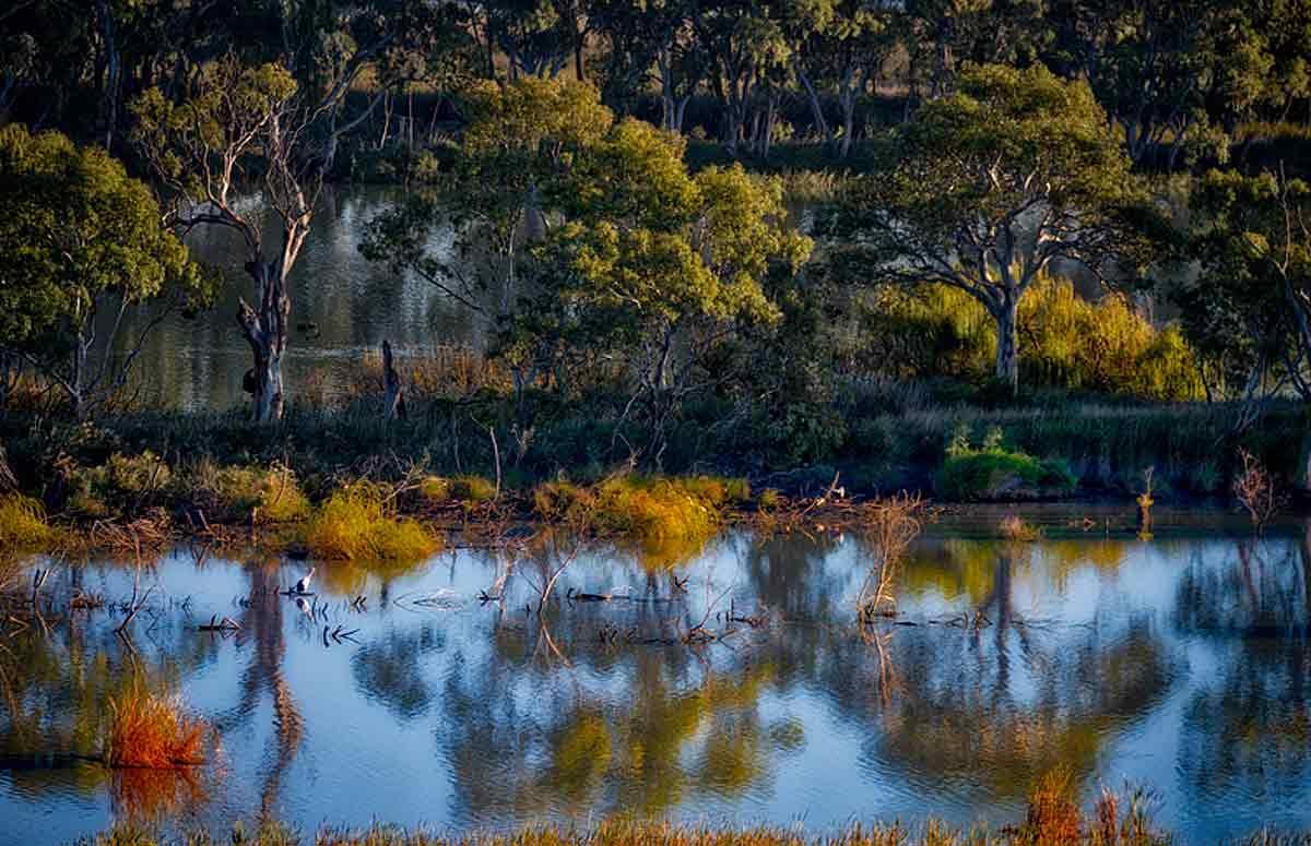 Riverview Rise Retreats Mannum Exteriör bild