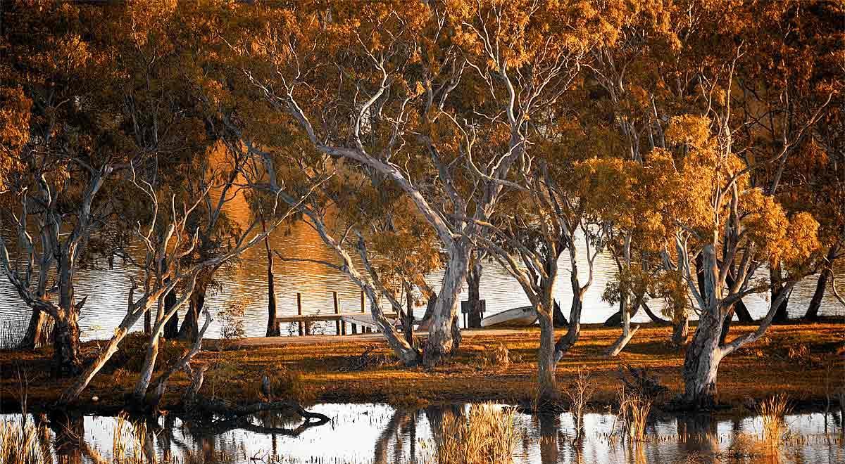 Riverview Rise Retreats Mannum Exteriör bild