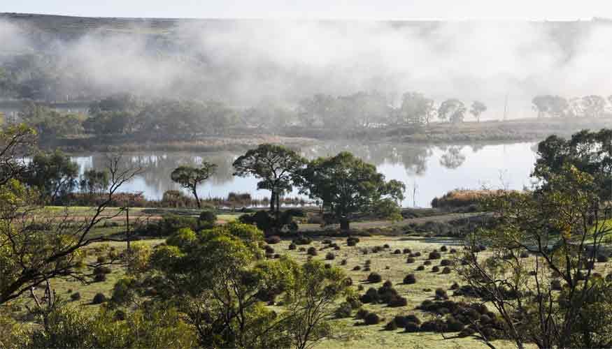 Riverview Rise Retreats Mannum Exteriör bild