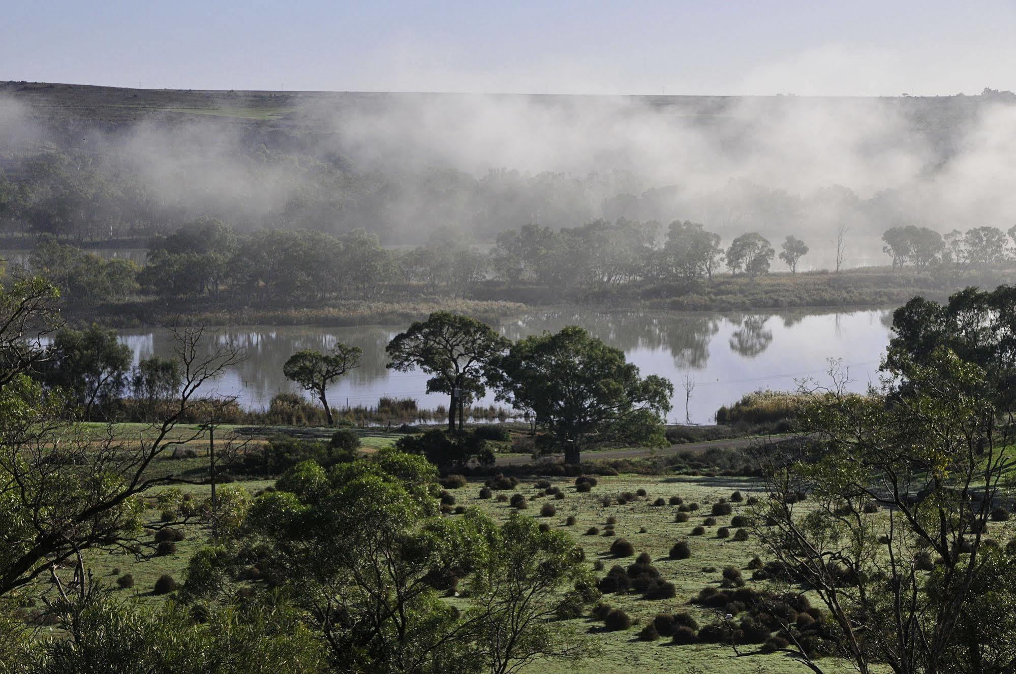 Riverview Rise Retreats Mannum Exteriör bild