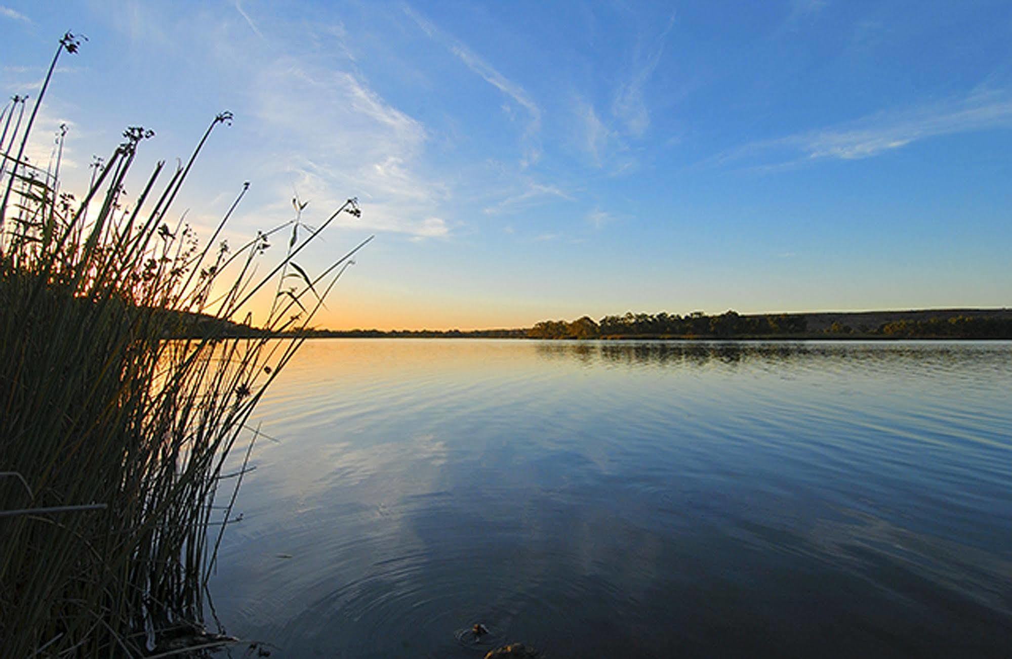 Riverview Rise Retreats Mannum Exteriör bild