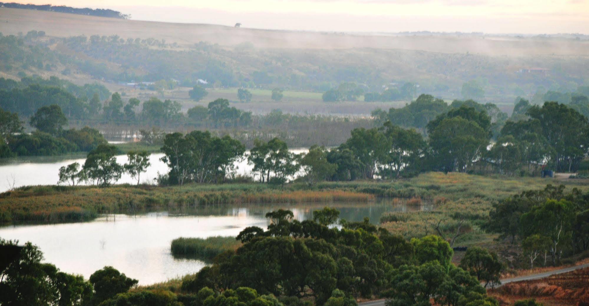Riverview Rise Retreats Mannum Exteriör bild