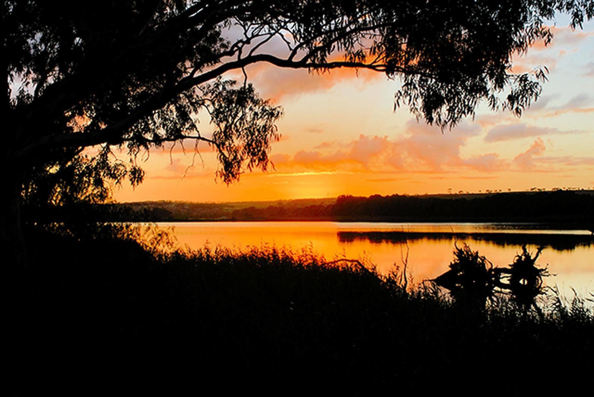 Riverview Rise Retreats Mannum Exteriör bild